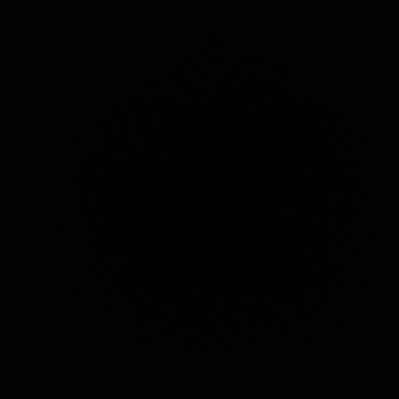 Meet your Posher, Dominick - Picture 1 of 1